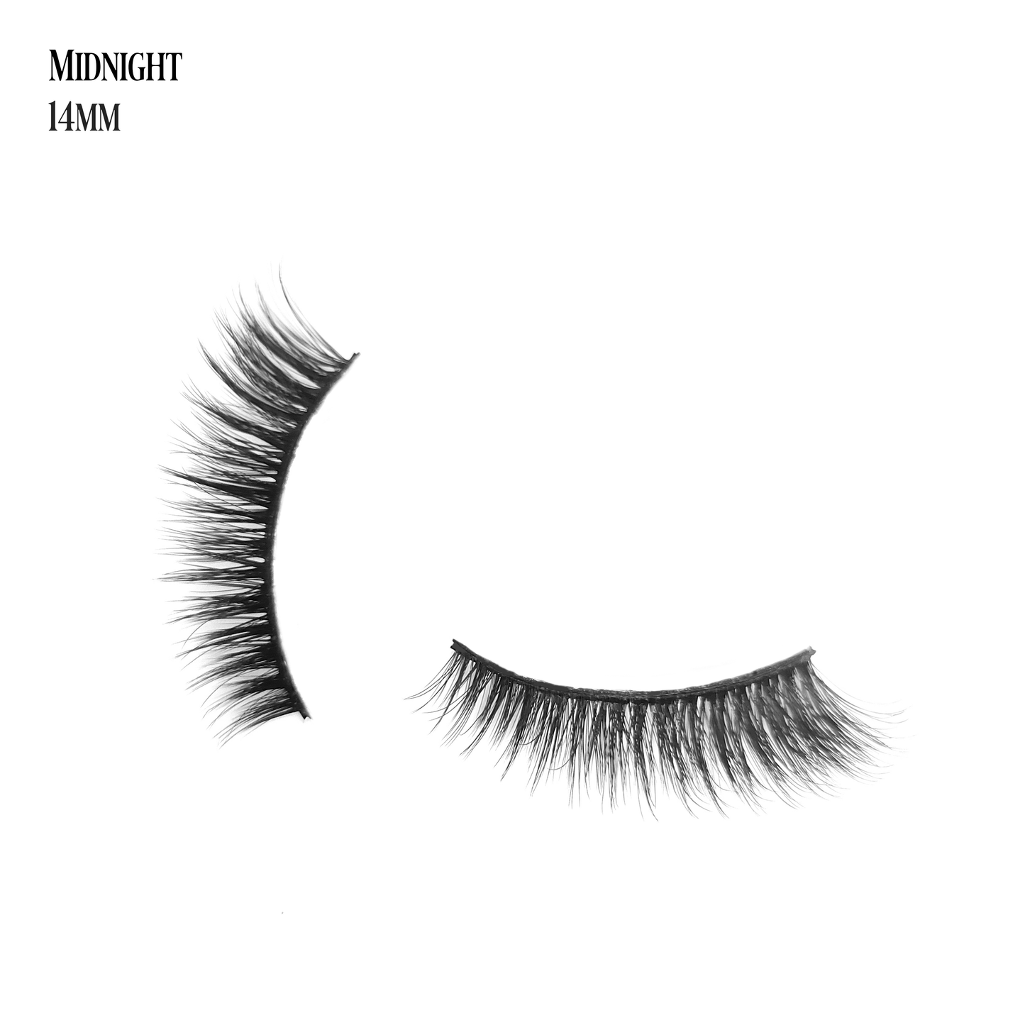 Midnight