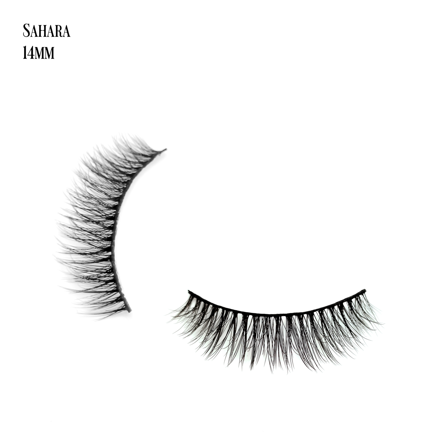 Sahara
